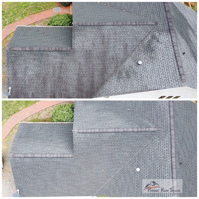 Before and After Gallery