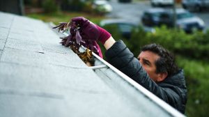 What You Need to Know About Gutter Cleaning
