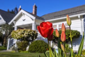 Spring Forward: Exterior Home Care Tips for Spring Prep