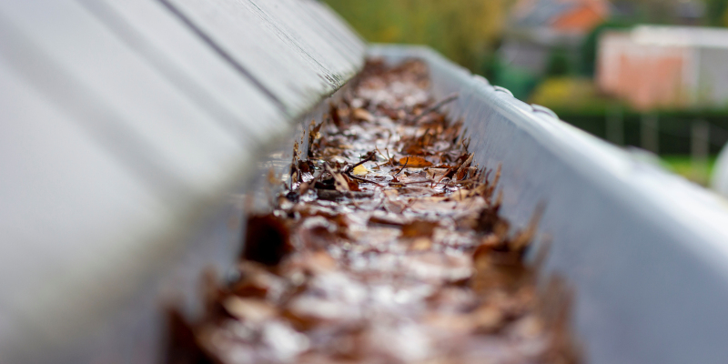Why You Shouldn’t Put Off Your Fall Gutter Cleaning Any Longer